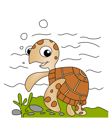 Slow Turtle Coloring Pages